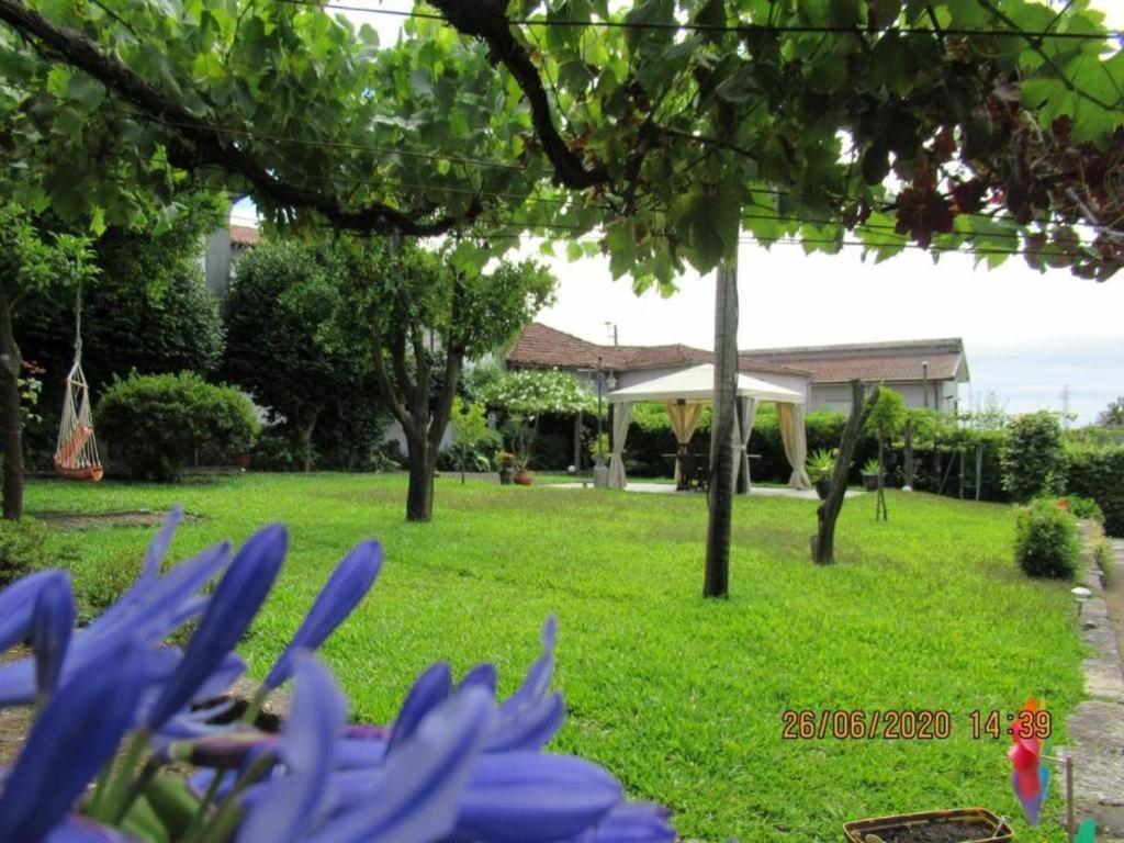 Villa Casa De Sao Braz Landim Esterno foto